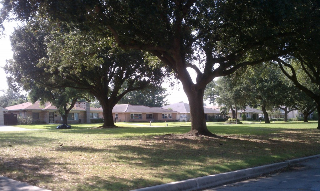 Lakeview New Orleans Tribute Real Estate